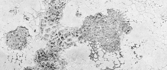 Panorama of White grey concrete texture, Rough cement stone wall, Surface of old and dirty outdoor building wall, Abstract nature seamless background