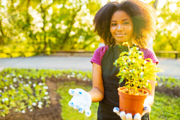 brazilian woman with cool afro curls hairstyle in the garden spring time at sunset