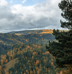 Foggy autumn landscape of mountains covered with green trees and yellow birches, natural autumn background. Bird`s-eye view.