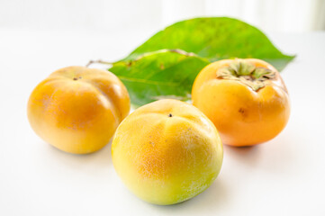 秋の味覚　太秋柿