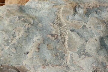 stone texture 