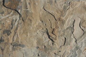 stone texture 