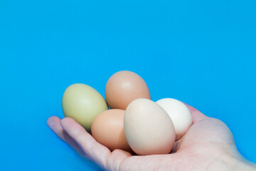 hand holding eggs of different colors on a blue background