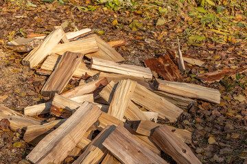 Chopped aspen firewood is laid out to dry.