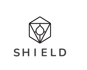 Fototapeta premium shield logo dice logo water logo vector line art
