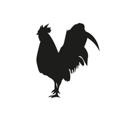 illustration vector of a rooster, very suitable for flyer design, web design or as an object insert, or just a vector collection, also very suitable for animal or culinary themed designs
