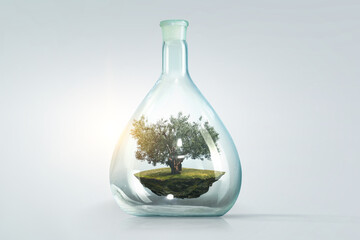 Tree growing inside clear glass bottle