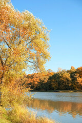 Beautiful autumn landscape. Autumnal forest and lake in sunny day. fall season concept. harmonious image of nature