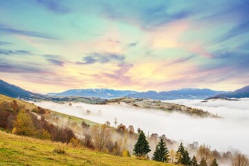 Fototapeta na wymiar Colorful forests in the warm Carpathian mountains covered with thick gray fog