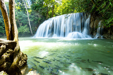 Erawan Waterfall in the rain forest of Thailand