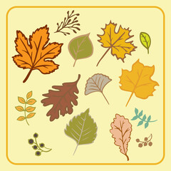 autumn leaf bundle vector image for season or holiday concept