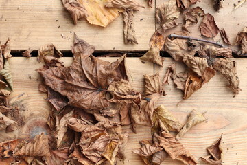 Fallen dry autumn leaves on the background of wooden steps. autumn concept