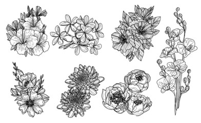 flowers set hand sketch drawing  black and white