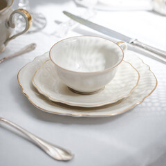 Old vintage antique royal 
dishes and appliances
