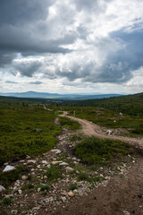 Landscape from the Pallas fell