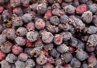 Frozen serviceberry