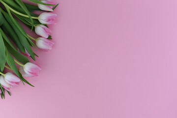Bouquet of pink tulips on a pink background. Copy space. Spring flowers concept.