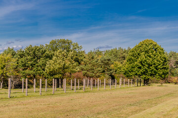 Spaziergang entlang des Kolonnenweges in der Nähe der Point Alpha Gedenkstätte am Tag der Deutschen Einheit - Thüringen/Hessen