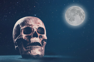 Terrifying Halloween skull for October holiday background