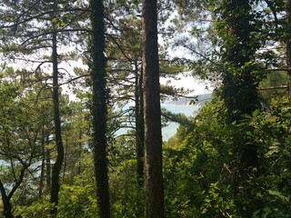 travel and recreation