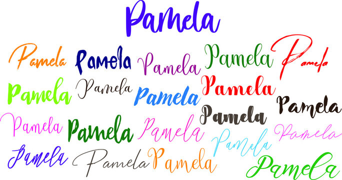 Pamela Baby Girl Name in Multiple Font Styles Typography Text