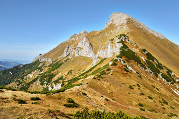 Fototapeta premium Široké sedlo