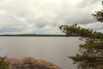High view of the lake  from behind the trees.