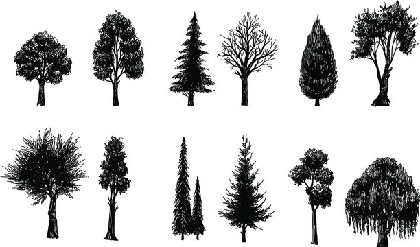 Black and white hand drawn set of silhouettes of trees. Element vector trees