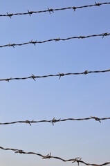 Rusty barbed wire, blue sky background