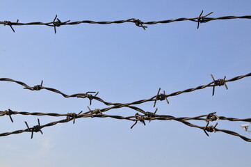 Rusty barbed wire, blue sky background
