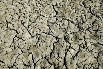 Climate warming dry chapped land