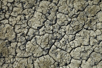 Climate warming dry chapped land