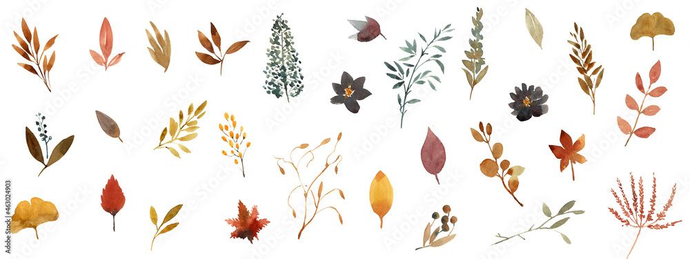 Wall mural Autumn Leaves elements set