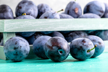 freshly picked ripe plums in a vintage box several plums are lying next to each other on the table