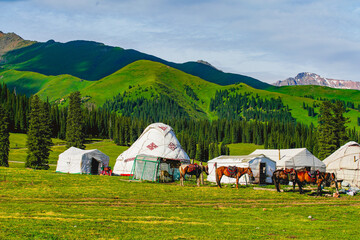 Yurt and grassland scenery,Outdoor life of nomads