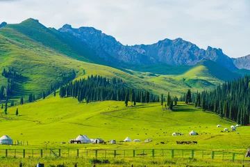 Foto op Canvas Yurt and grassland scenery,Outdoor life of nomads © Brekke