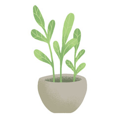 potted house plant vector illustrations in simple flat hand drawn style. Collection of green leafy indoor plants design assets isolated on white background