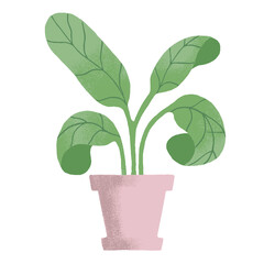 potted house plant vector illustrations in simple flat hand drawn style. Collection of green leafy indoor plants design assets isolated on white background