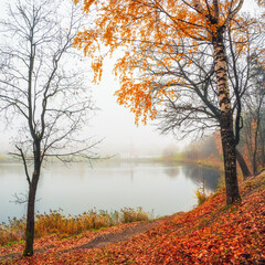 Soft focus. Foggy autumn morning landscape. A bright autumn misty landscape with golden trees by the pond and an old palace. Gatchina. Russia.