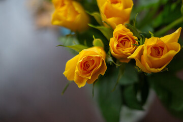yellow roses