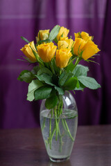 yellow roses in a vase