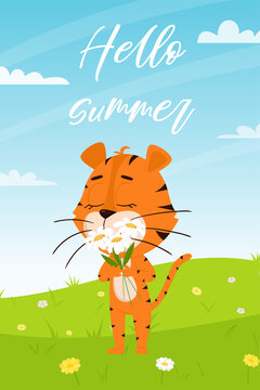 Cute cartoon tiger sniffs daisies on the background of summer landscape with a field, flowers, dandelions. Vertical rectangular card with an adorable character.Hello summer. Color vector illustration