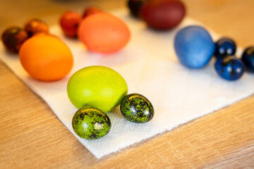 Freshly painted green, blue, red and orange Easter chicken and quail eggs lie in the kitchen