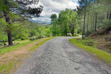 Carretera en el Valle de Iruelas. Avila. España. Europa