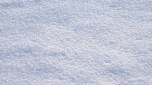 4k stock video footage of white sunny clean texture of fresh snow covering ground thickly on frosty winter morning outside. Horizontal natural winter video background
