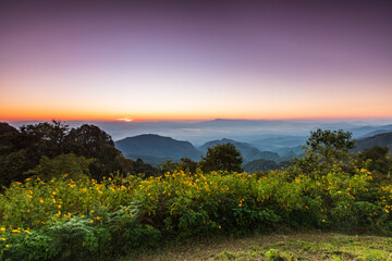 Obraz premium In the morning at Doi Ang Khang, Chiangmai province , Thailand.