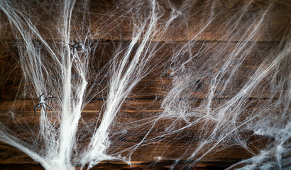 Wooden background covered with spider webs with black spiders and copy space, halloween holiday concept