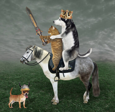 A dog husky king in a gold crown and a beige cat with a sword are riding a gray horse in the meadow.