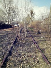 old overgrown railway line in an industrial area