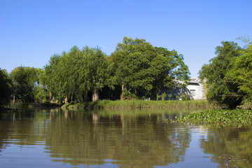 Fototapeta na wymiar Delta of the Parana River, Rio las Canas, Tigre, San Fernando, Buenos Aires Province, Argentina